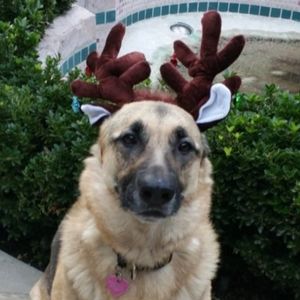 Meet your Posher, Mom